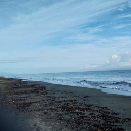 Un Nid Douillet En Bord De Plage !! 루키아나 외부 사진
